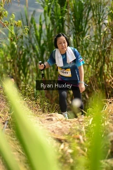 Runner Photo 5280041