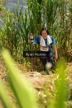 Runner Photo 5280042