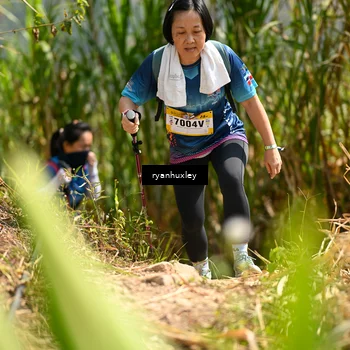 Runner Photo 5280046