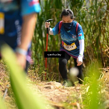 Runner Photo 5280055