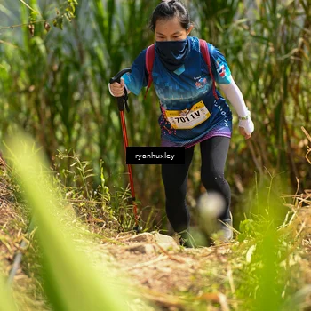 Runner Photo 5280060