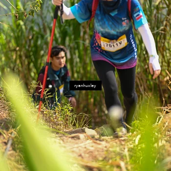 Runner Photo 5280064
