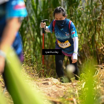 Runner Photo 5280069