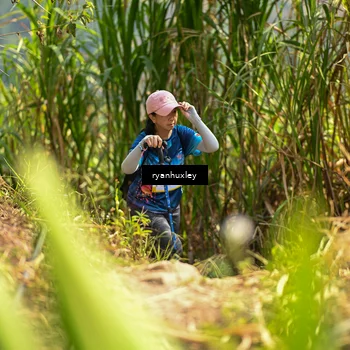Runner Photo 5280075
