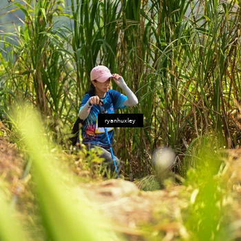 Runner Photo 5280079