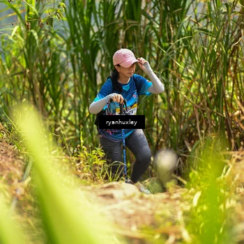 Runner Photo 5280080