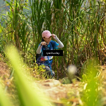 Runner Photo 5280081