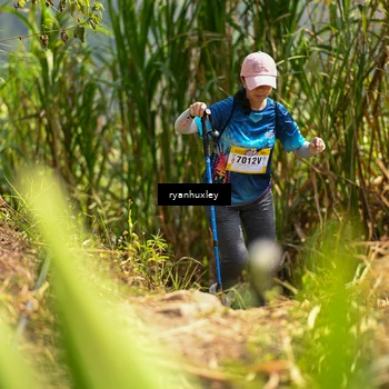 Runner Photo 5280083