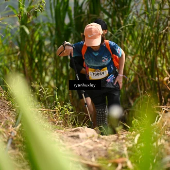 Runner Photo 5280138