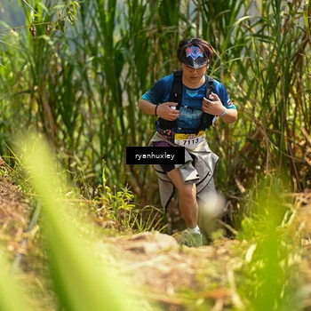 Runner Photo 5280152