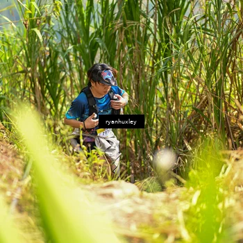 Runner Photo 5280153