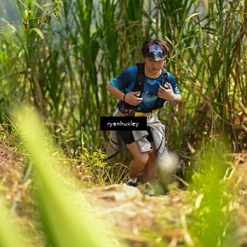 Runner Photo 5280157