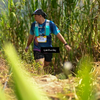 Runner Photo 5280181