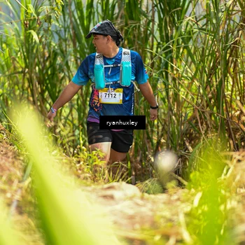Runner Photo 5280186