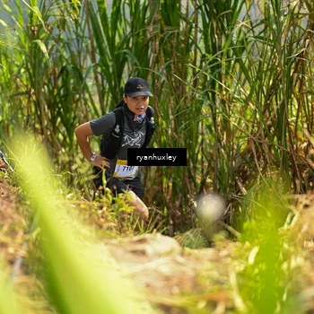 Runner Photo 5280218