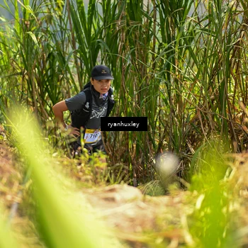 Runner Photo 5280219