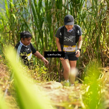 Runner Photo 5280226