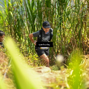 Runner Photo 5280228