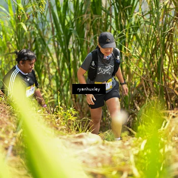 Runner Photo 5280231