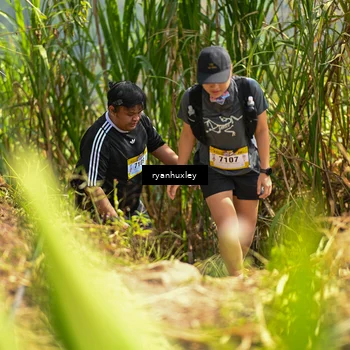 Runner Photo 5280237
