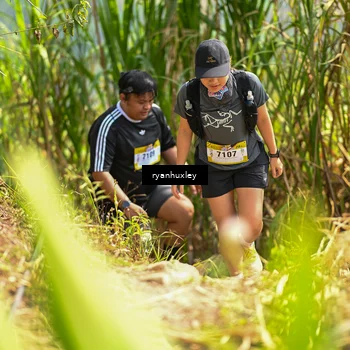 Runner Photo 5280239