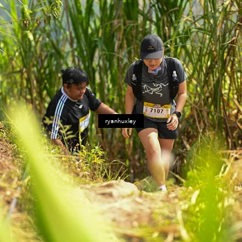 Runner Photo 5280240