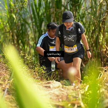 Runner Photo 5280244