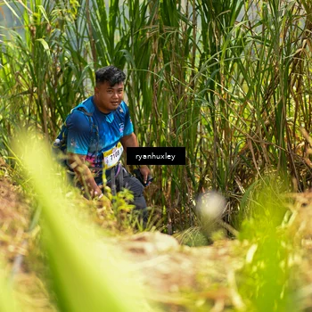 Runner Photo 5280246