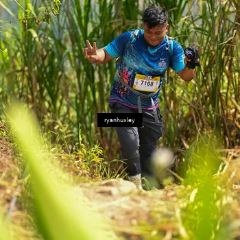 Runner Photo 5280266