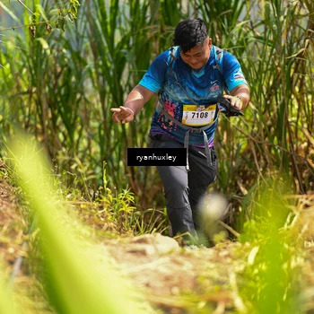 Runner Photo 5280268