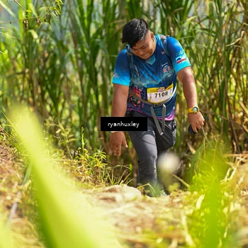 Runner Photo 5280273