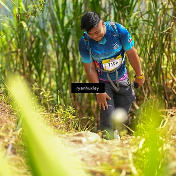 Runner Photo 5280277