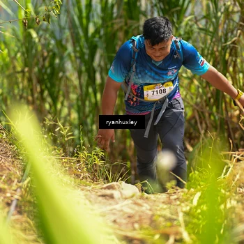 Runner Photo 5280278