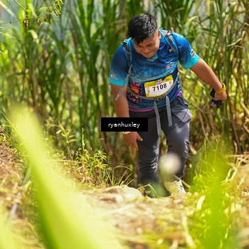 Runner Photo 5280283