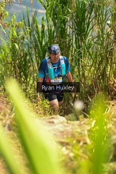 Runner Photo 5280300