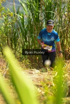 Runner Photo 5280308