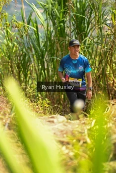 Runner Photo 5280312