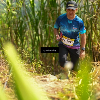 Runner Photo 5280316