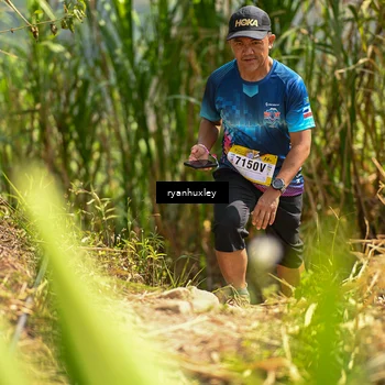 Runner Photo 5280317