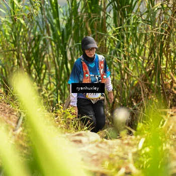 Runner Photo 5280333