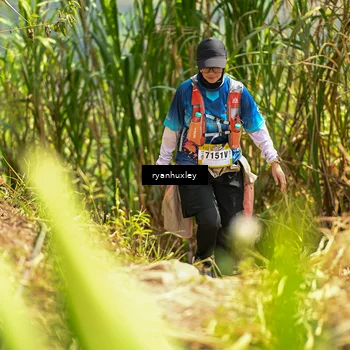 Runner Photo 5280335
