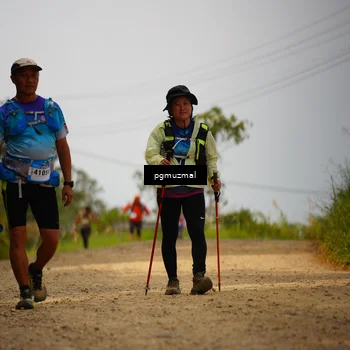 Runner Photo 5280403