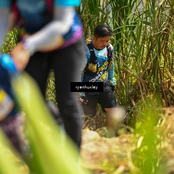 Runner Photo 5280429