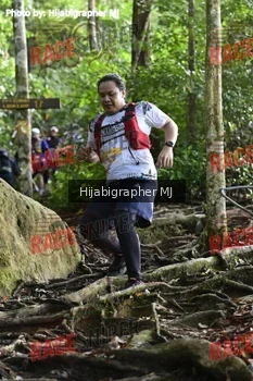 Runner Photo 528045