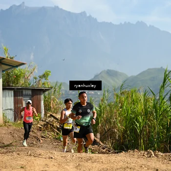 Runner Photo 5280479