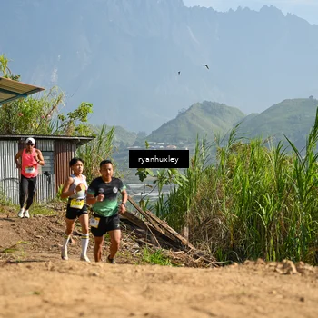 Runner Photo 5280480
