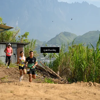 Runner Photo 5280481
