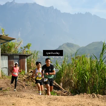Runner Photo 5280484