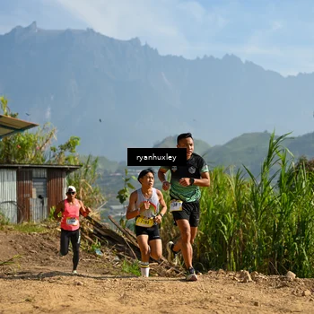 Runner Photo 5280488