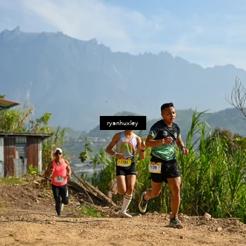 Runner Photo 5280490